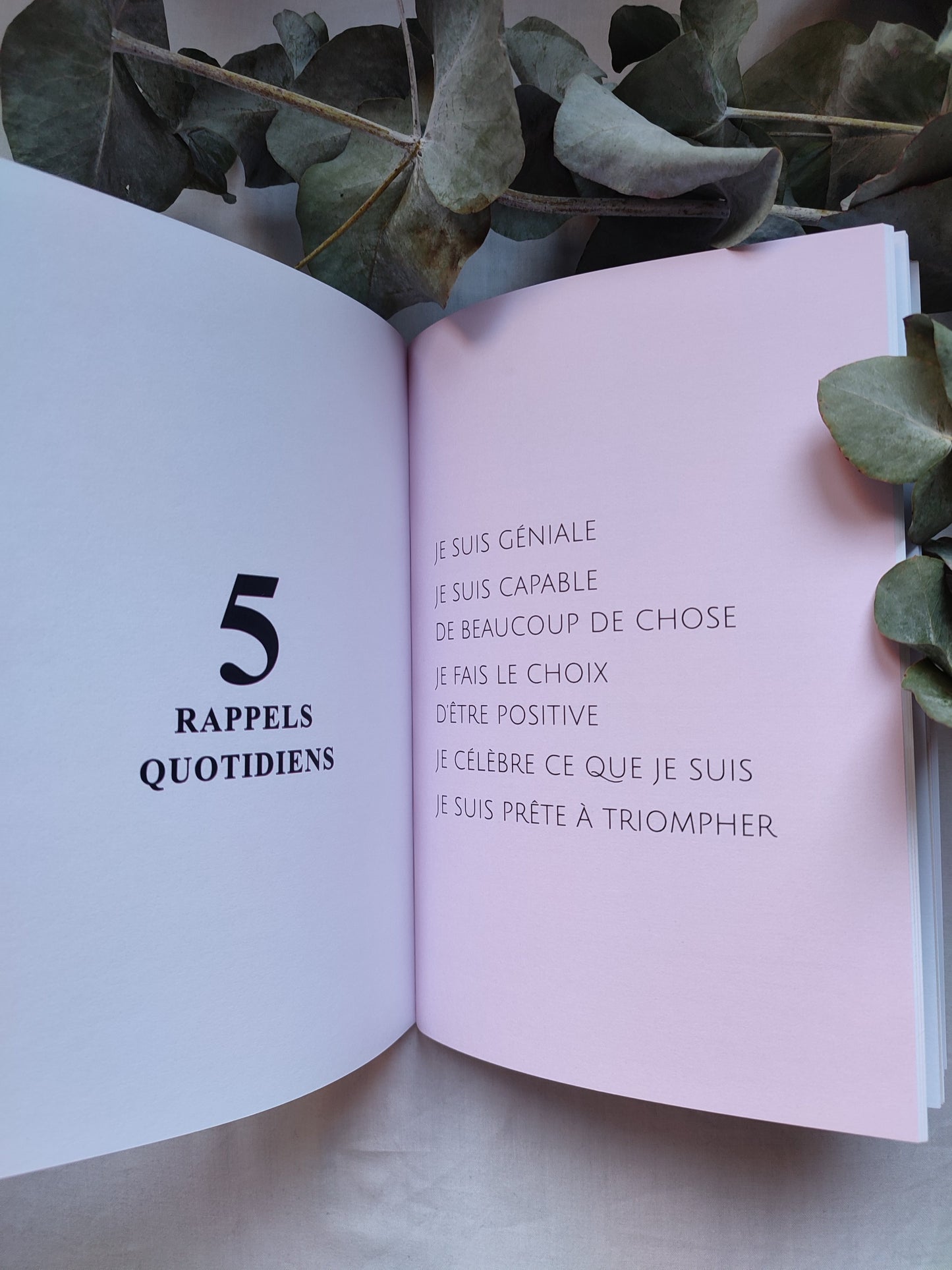 Le carnet maternité Alter ego - Journal de grossesse et souvenir pour maman